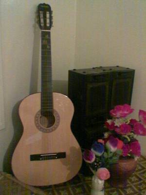 je t'aime mon guitar