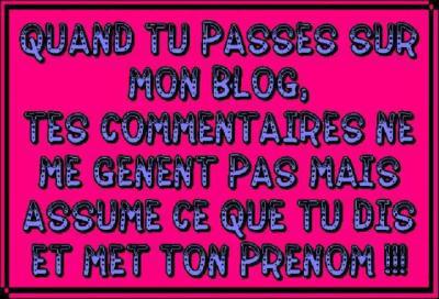 ajoute vous commentaires